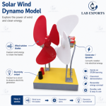 Solar Wind Dynamo Model
